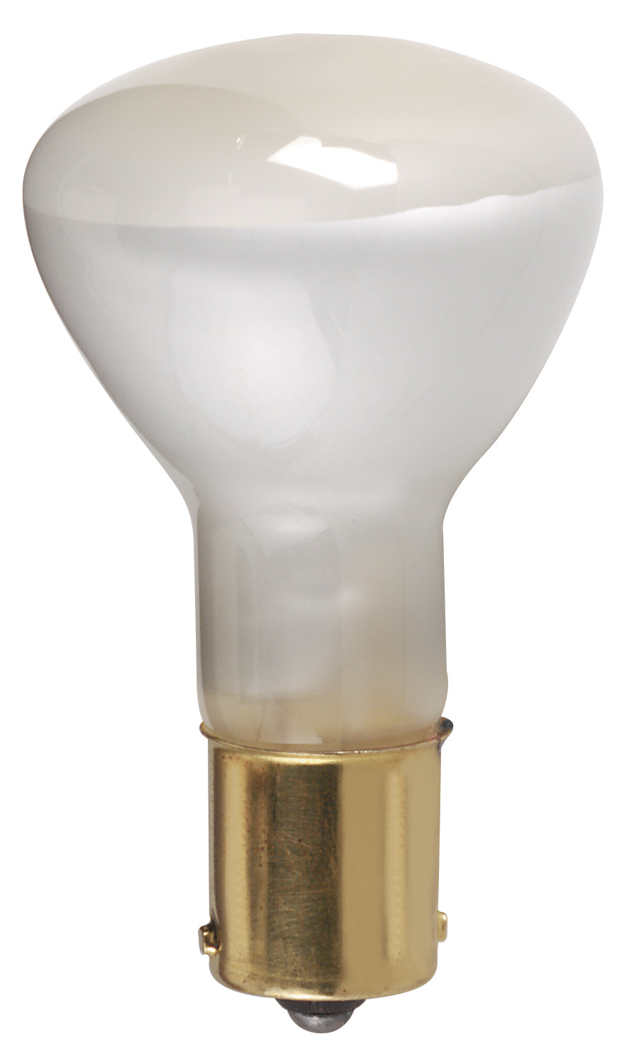 20CP R12 12-16V S.C. FLOOD