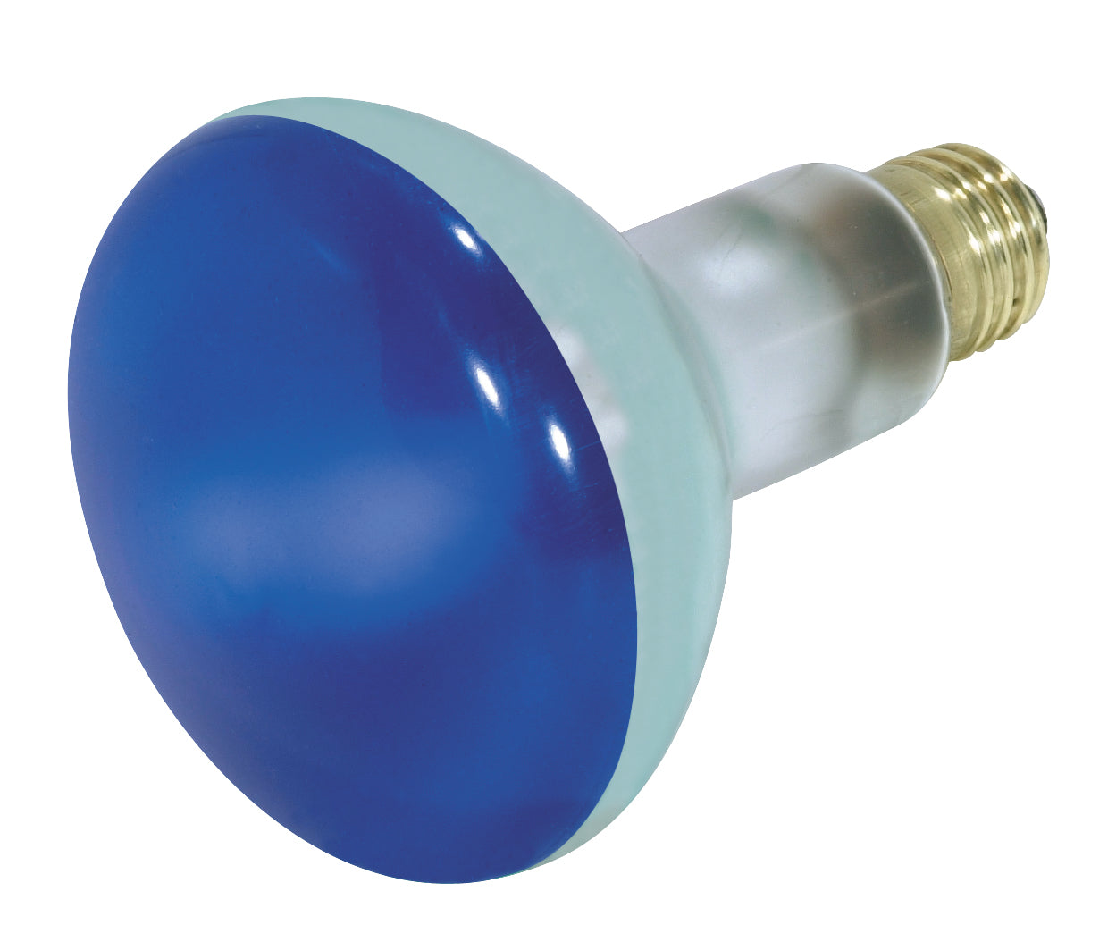 75W BR30 STD BLUE