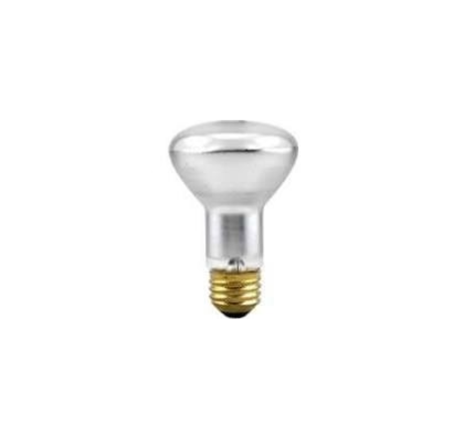 100R20/FL 12V E26 POOL SPA
