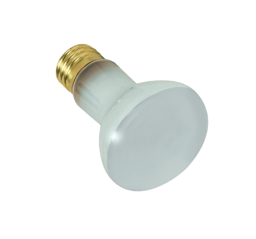100R20/FL 130V SHORT E26 POOL